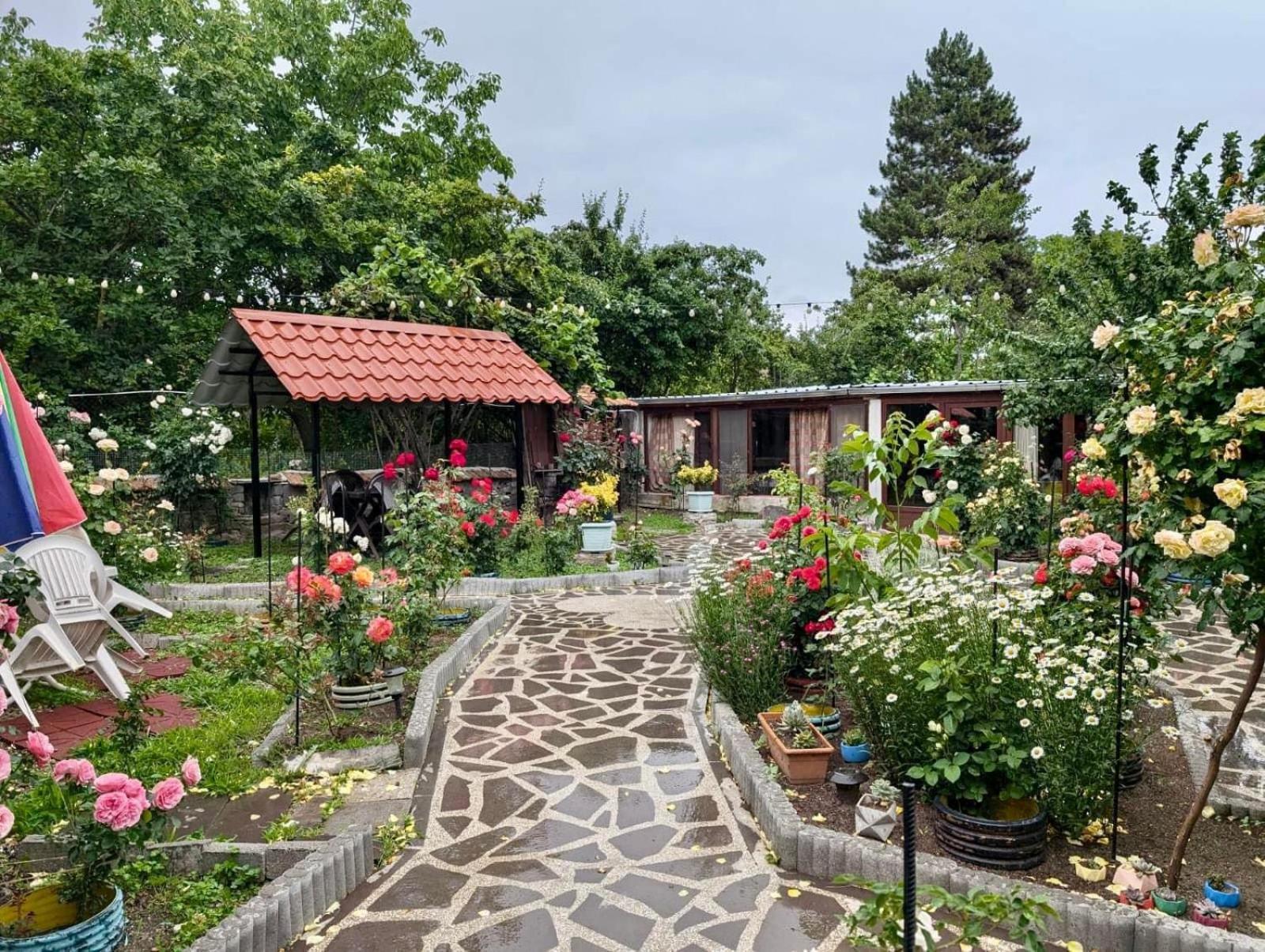 Artist'S House Hotel Tetritskaro ภายนอก รูปภาพ